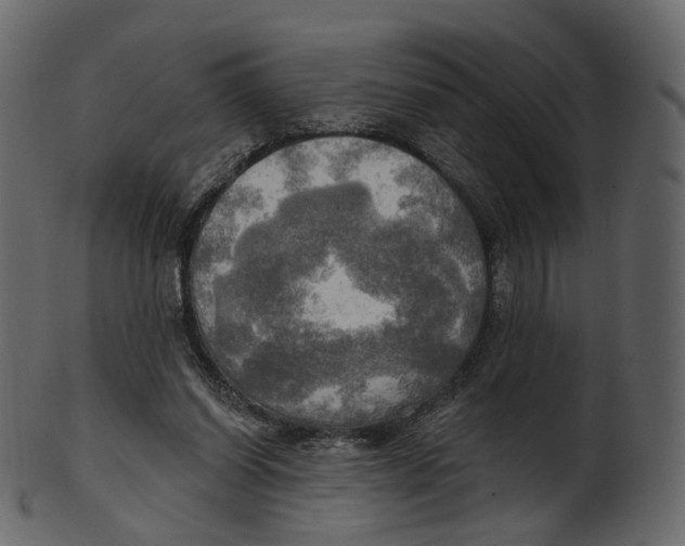 X0000100470254200807031835