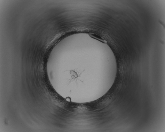 X0000100470256200807031835