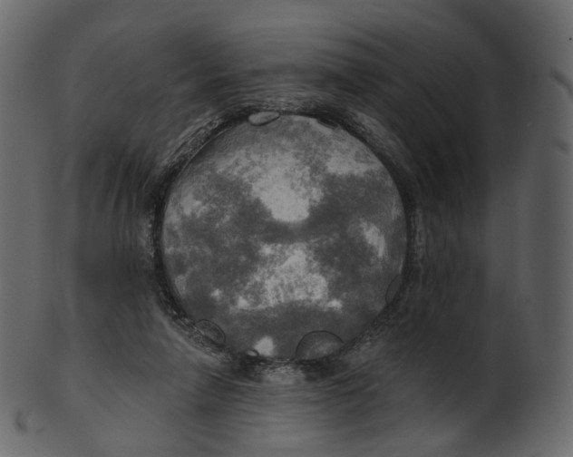 X0000100470258200807031835