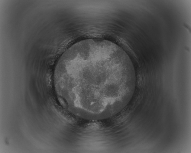 X0000100470259200807031835