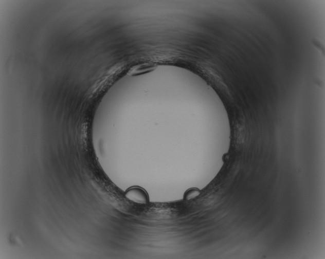 X0000100470260200807031835