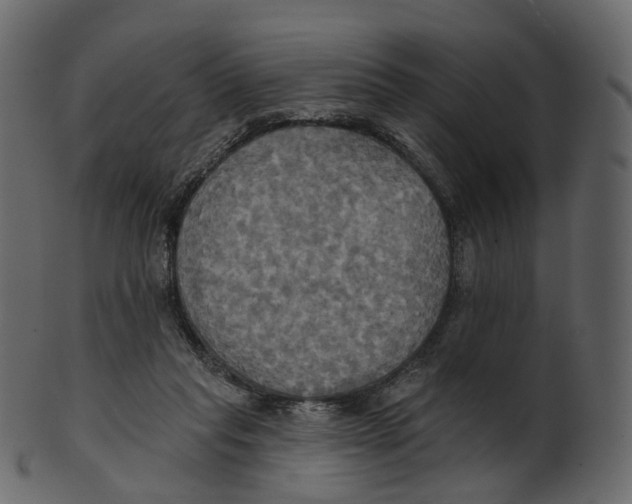 X0000100470261200807031835