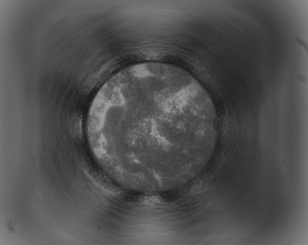 X0000100470262200807031835