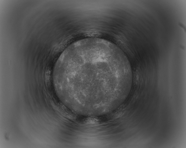 X0000100470263200807031835