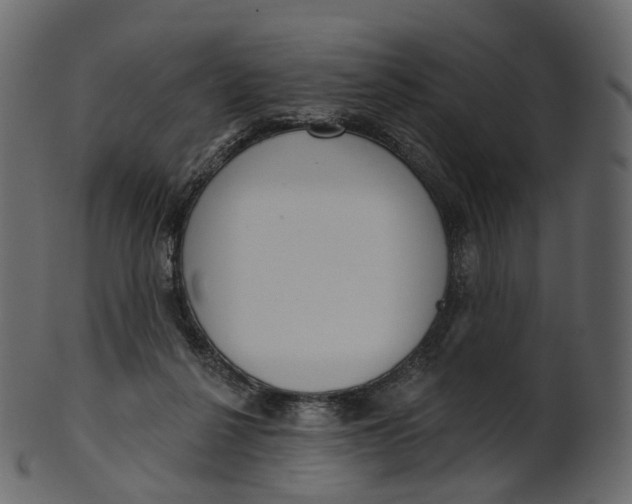 X0000100470264200807031835