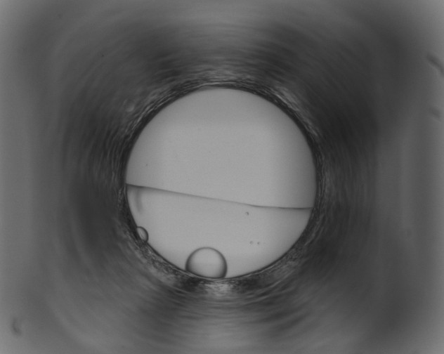 X0000100470265200807031835