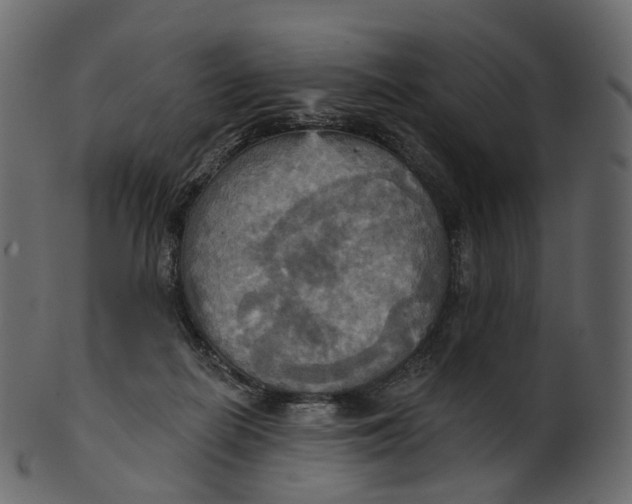 X0000100470266200807031835