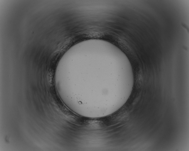 X0000100470268200807031835