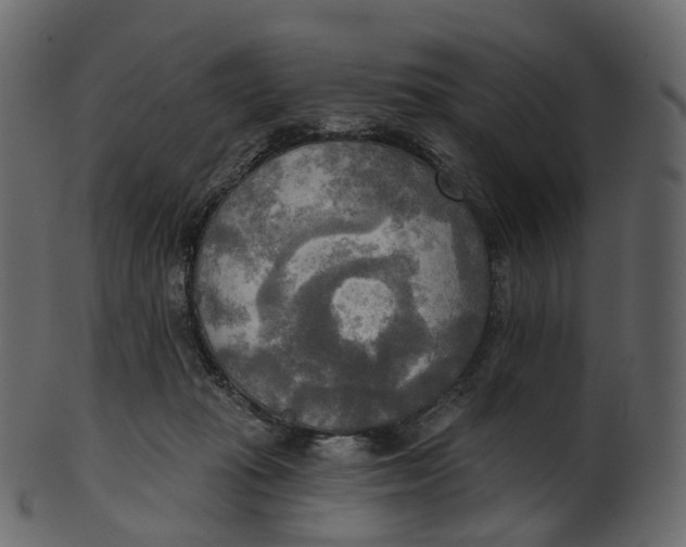 X0000100470269200807031835