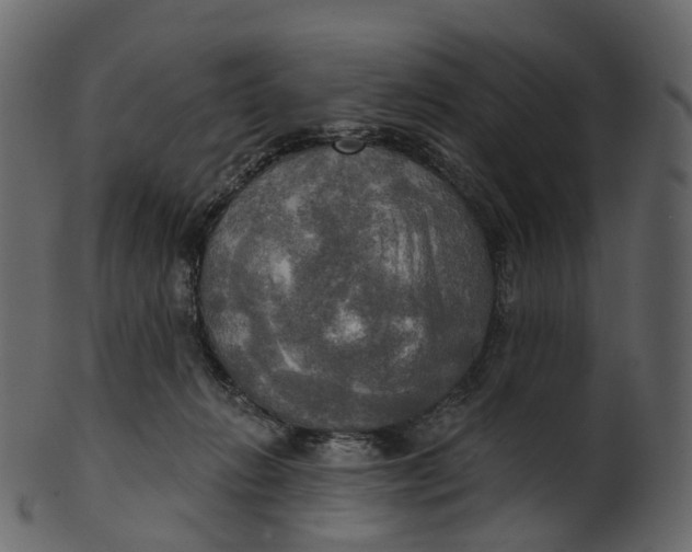 X0000100470270200807031835