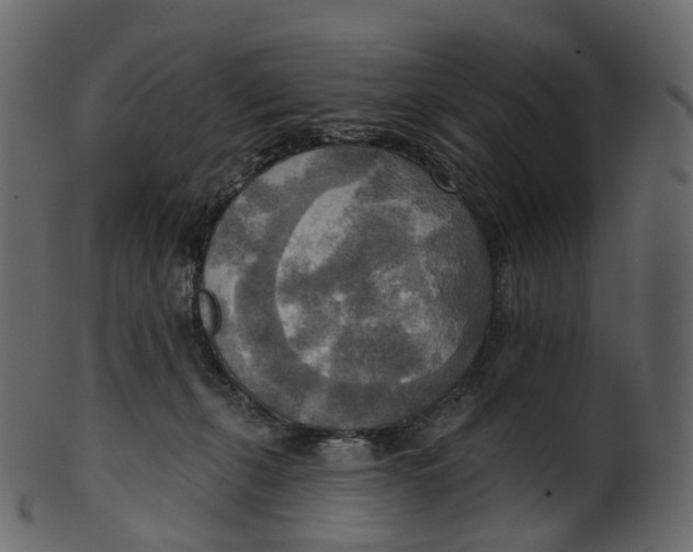 X0000100470271200807031835