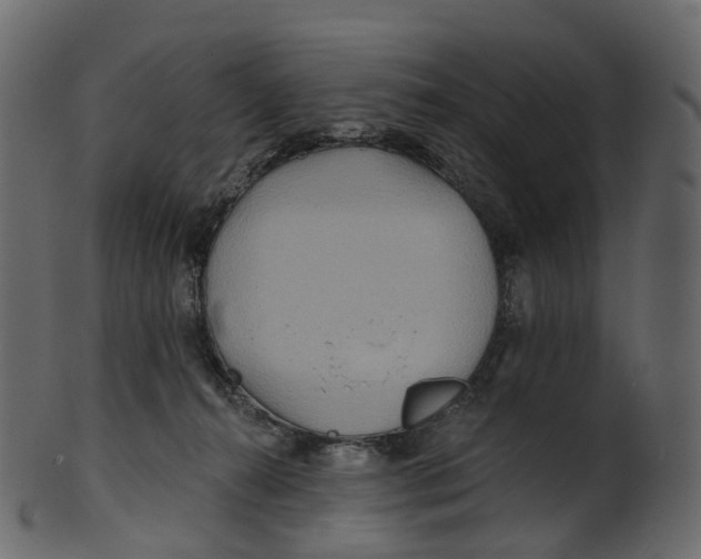 X0000100470272200807031835