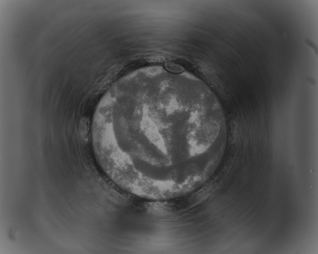 X0000100470273200807031835