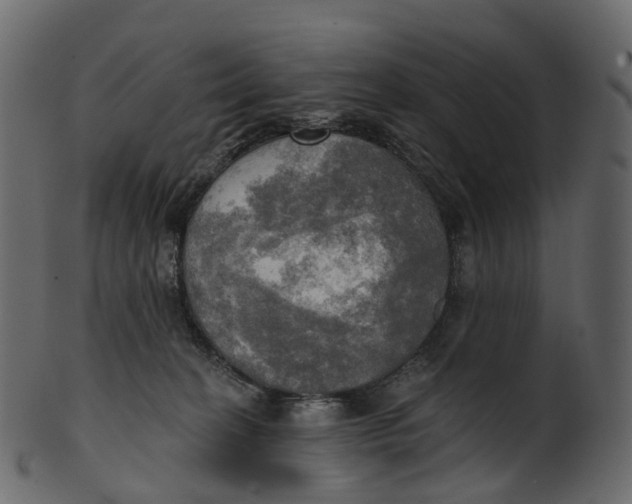 X0000100470274200807031835