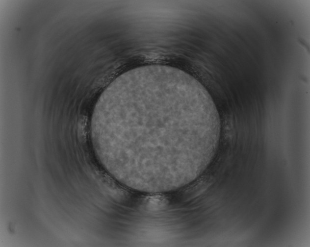 X0000100470275200807031835