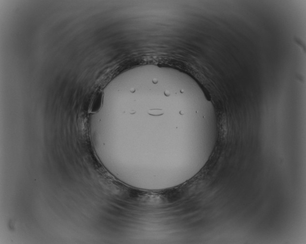 X0000100470276200807031835