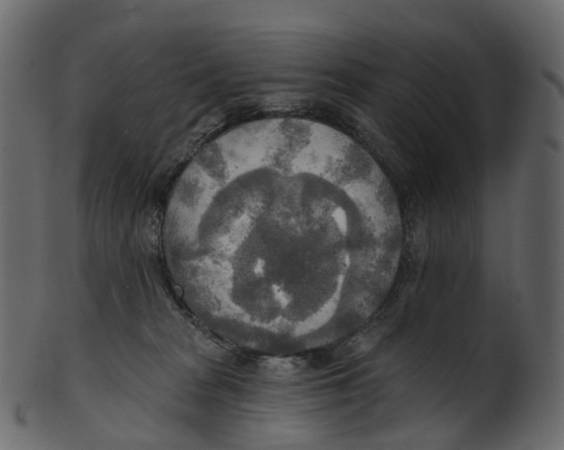 X0000100470277200807031835