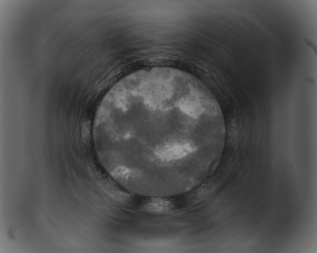 X0000100470278200807031835