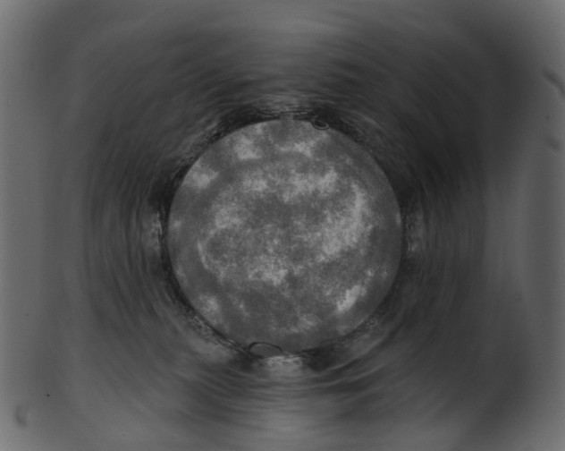 X0000100470279200807031835