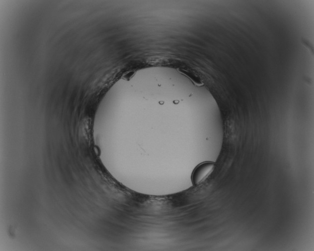 X0000100470280200807031835