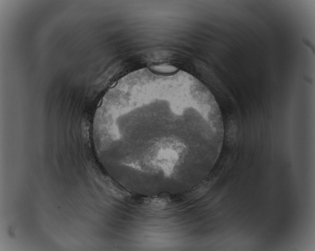 X0000100470282200807031835