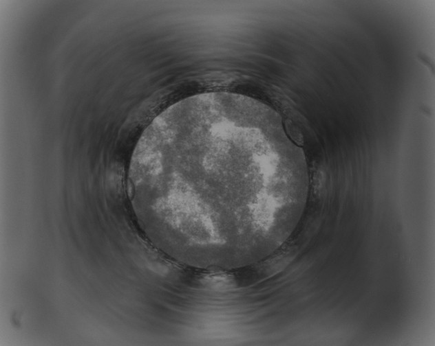 X0000100470283200807031835