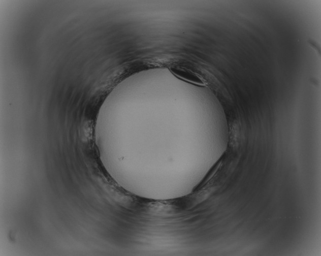 X0000100470284200807031835