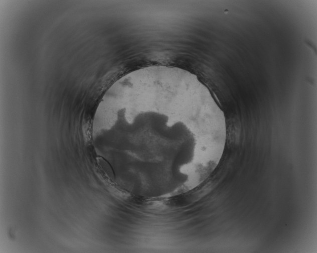 X0000100470285200807031835