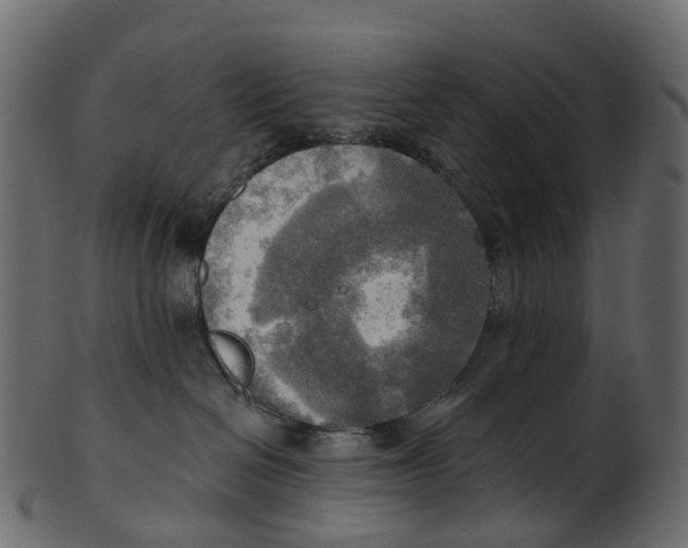 X0000100470286200807031835