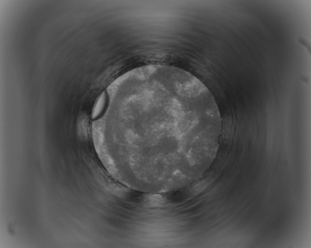 X0000100470287200807031835