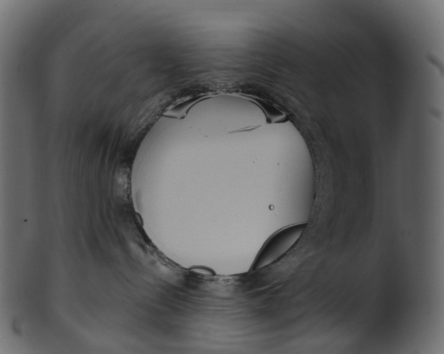 X0000100470288200807031835