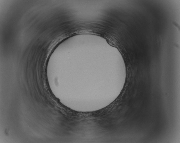 X0000100470289200807031834