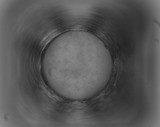 X0000100470290200807031834