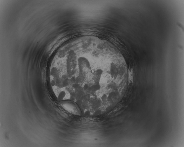 X0000100470291200807031834