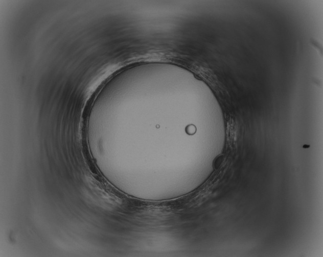 X0000100470292200807031834