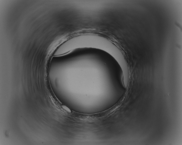 X0000100470293200807031834