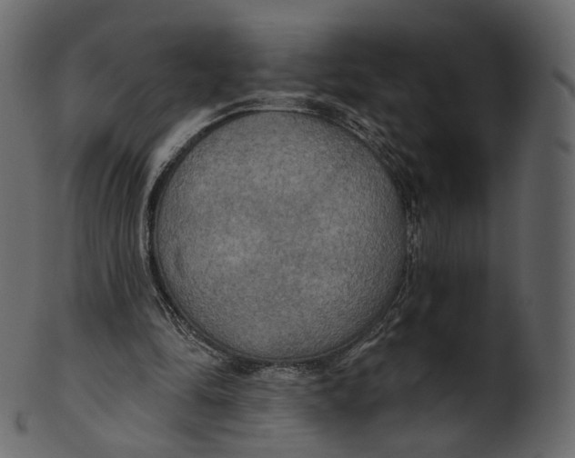 X0000100470294200807031834