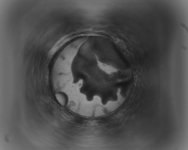 X0000100470295200807031834