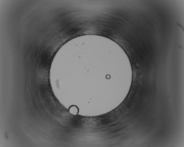 X0000100470297200807031834