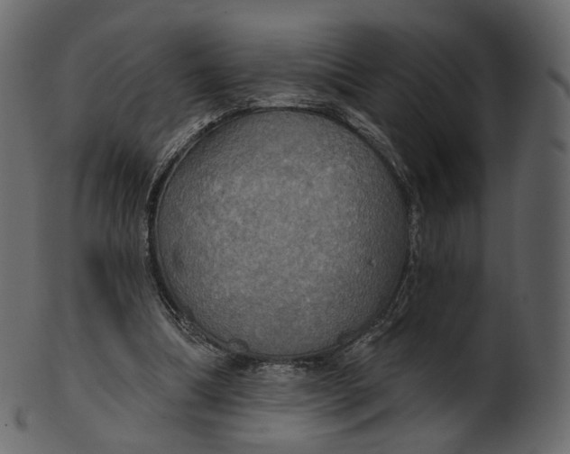 X0000100470298200807031834