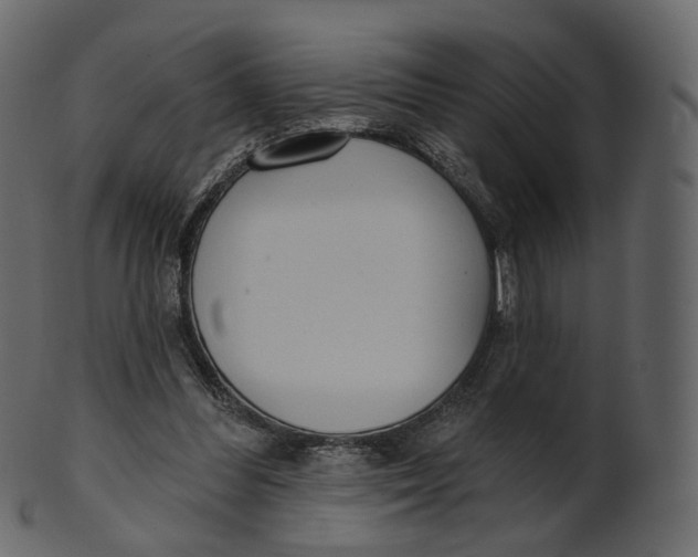 X0000100470300200807031834