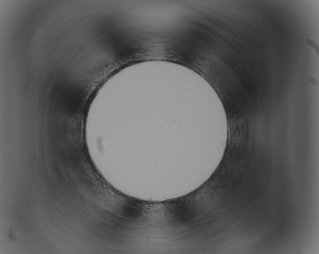 X0000100470301200807031834