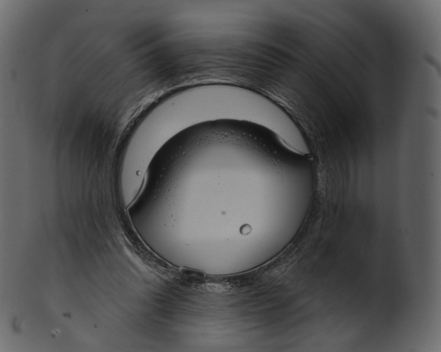 X0000100470302200807031834