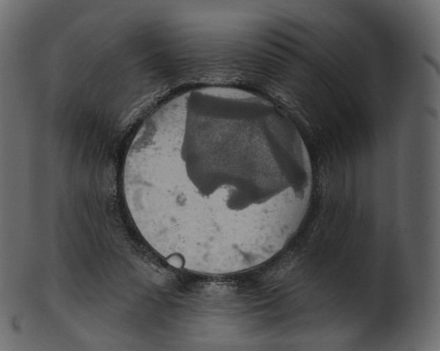 X0000100470303200807031834