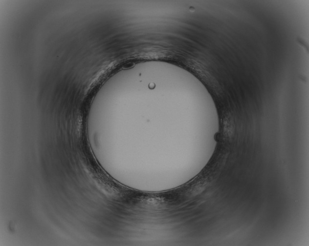 X0000100470304200807031834