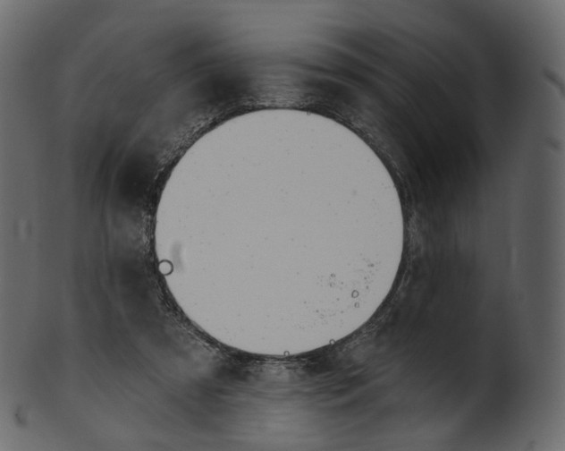 X0000100470305200807031834