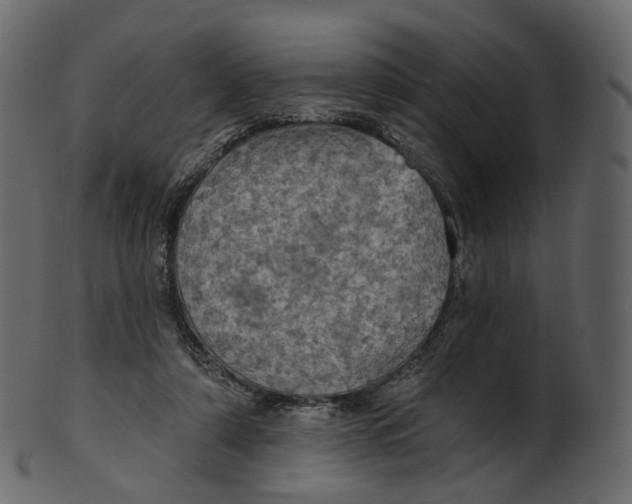 X0000100470306200807031834