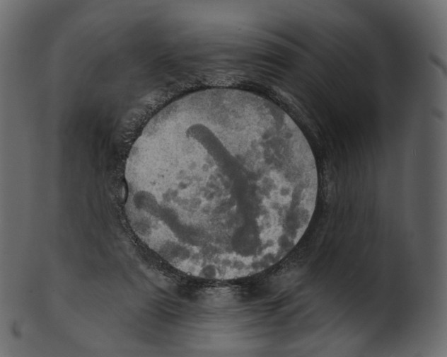 X0000100470307200807031834