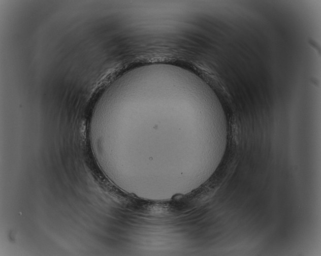 X0000100470308200807031834