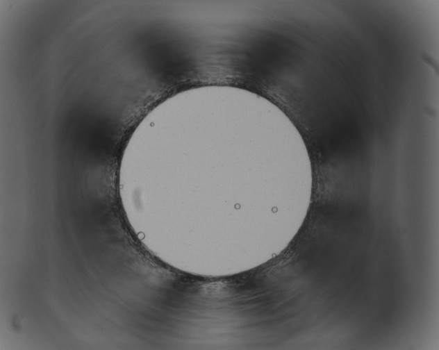 X0000100470309200807031834